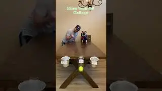 Money Tennis Ball Challenge 