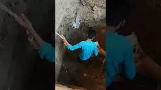 Dog falling in grief😱😱 so sad😞