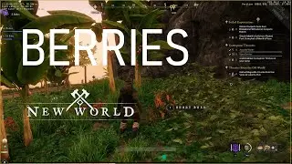 Where to get Berries in New World Game [Preview Event]
