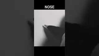 drawing nose simple 