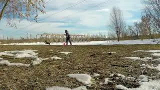 тренировка фри 06/03