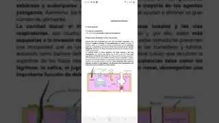 7°, ciencias naturales, Guía 14: Sistema Inmune