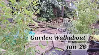 No. 118 - Garden Walkabout Jan '26