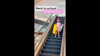 Back to School Shopping Spree...🤦‍♀️ It LOVES Shopping!