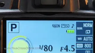 Introduction to the Nikon D3200: Basic Controls