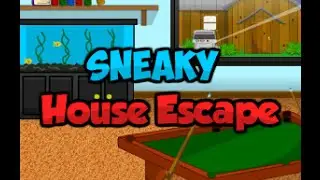 Sneaky House Escape Walkthrough