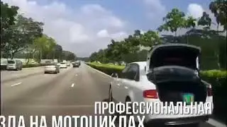#ЧЕЛОВЕЧЕСКАЯ ГЛУПОСТЬ , К ЧЕМУ МОЖЕТ ПРИВЕСТИ