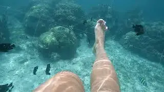 female feet swimming underwater, scuba diving, swim with coral fish, beauty nature, travel water fun