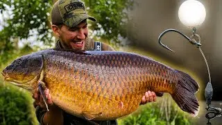 The Rig That Caught 'The Wood' 🎣 50lb+ UK Common on the Stiff Hinge Rig | Carp Fishing
