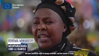 AGRI-CONNECT in Action: Transforming Mbeya and Songwe