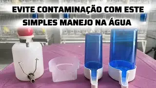 EVITE CONTAMINAÇÃO NA ÁGUA COM ESSE SIMPLES MANEJO
