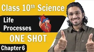 Life Processes | Chapter 6 | Class 10 NCERT