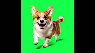 cute dog animation green screen video