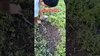 #life when #farming & loving #nature as well