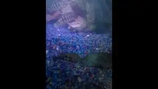 Texas cichlid vs green terror pt1