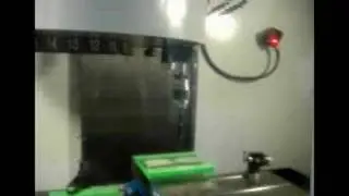 Me @ Probionics! (Tool Version)