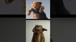 АДЖАРА ГУДЖУ