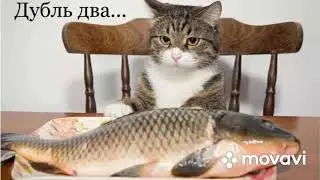 Ловля на кастинговую сеть .