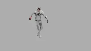 Fight Animation