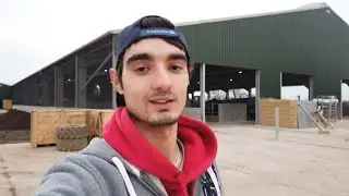 New Dairy Building BIG Update!