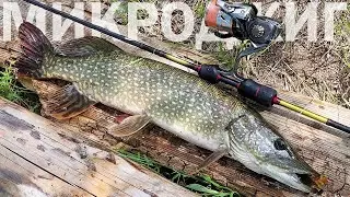 Этот спиннинг не покупал никто, а ЗРЯ! Микроджиг летом с Daiwa Gekkabijin AGS 75L-T