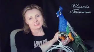 Презентация Павлин