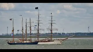 Tallships op de Westerschelde
