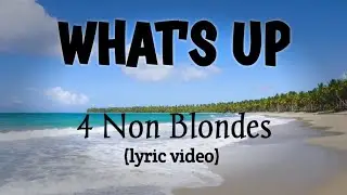 WHATS UP - 4 NON BLONDES (cover reggae) (LYRICS VIDEO)