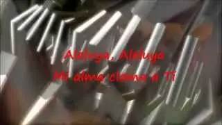 Mi único deseo - New Wine - Con Letra