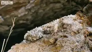 что вы здесь видите?