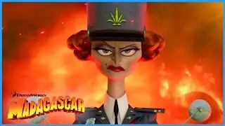 Dubois On The Hunt 🕵🏼‍♂️ | DreamWorks Madagascar