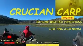 CRUCIAN CARP FISHING -EXTREME WEATHER CONDITIONS LAKE PIRU -  へら PART 2