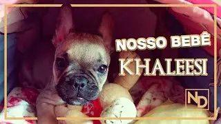 Agora somos papais! - Nossos Dias