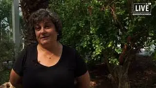 La culla della biodiversità: l'Orto botanico