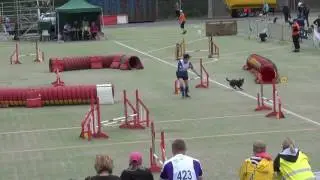 384 Kelpie , Eka  , karsinta