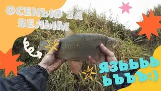 Рыбалочка в сентябре. Днепр. БЕЛАРУСЬ