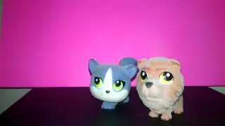 Попа убийца