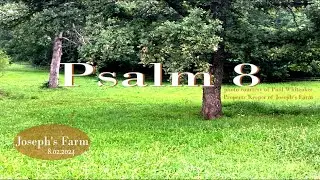 PSALM 8 | VINEYARD TABERNACLE | 8 02 2024
