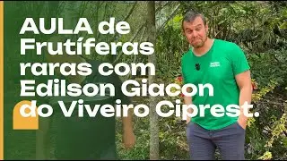 Um MESTRE de frutíferas: Edilson Giacon e o viveiro CIPREST.