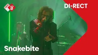 DI-RECT - 'Snakebite' @ Jan-Willem Start Op!