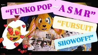 ASMR FURRY 