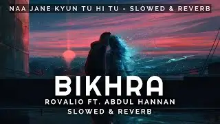 Rovalio - Bikhra ft. Abdul Hannan (Slowed & Reverb)| Heart Snapped