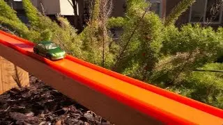 Hot Wheels in the Garden