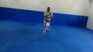 Gedan barai gyaku tzuki