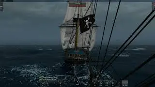 Black Pearl vs Naval Action 21:9 3440x1440 AMD 1950x 2x INNO3D GeForce RTX 2080 Ti iCHILL Black
