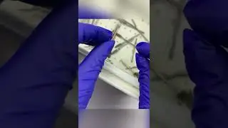 Быстрая очистка инструмента🌪️⚡️💫