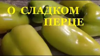 Перец на зиму  Урожай 2020 Как я Замораживаю перец для фаршировки  Обзор перца