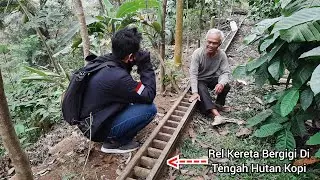 MISTERI REL KERETA API DI TENGAH HUTAN DIUNGKAP OLEH KAKEK AHLI SEJARAH KERETA !