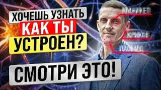 Интегральный взгляд на психику и личность. Хочешь узнать, как ты устроен, смотри это! НЛУ