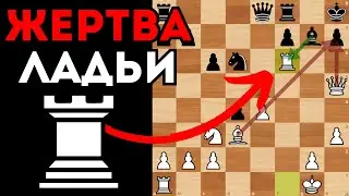 Фишер разносит защиту Пирца Уфимцева. Шахматный разгром